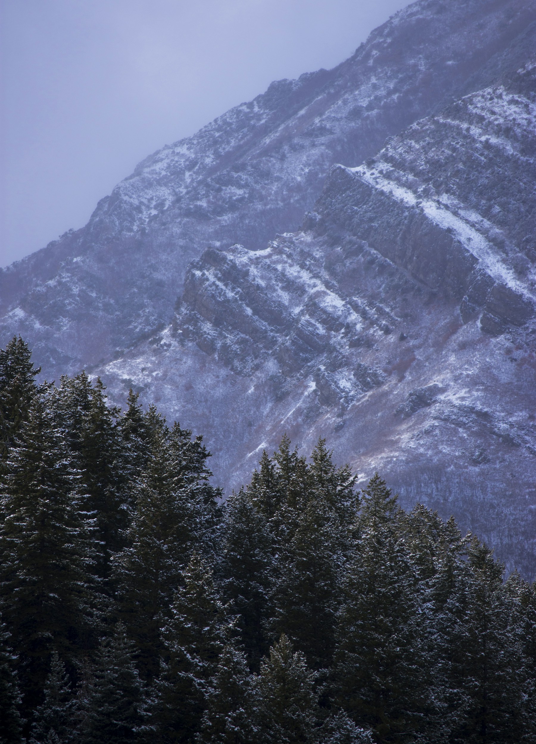 First snow dusting the mountains and pines in Big Cottonwood Canyon